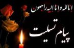 پیام تسلیت دبیران تشکل های شاهد و ایثارگر به مناسبت درگذشت مادر آقای ایرج هاشمی